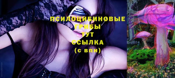 спиды Белокуриха