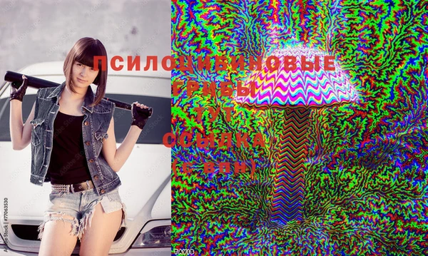 спиды Белокуриха