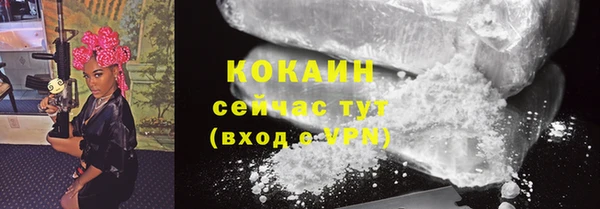 стафф Медногорск