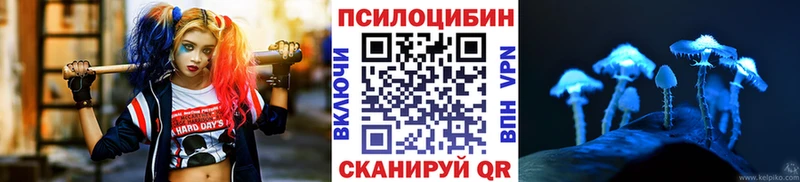 blacksprut зеркало  даркнет сайт  Надым  Псилоцибиновые грибы GOLDEN TEACHER 